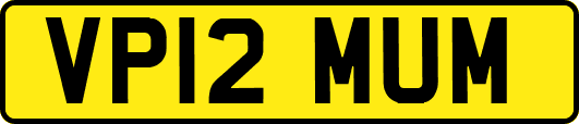 VP12MUM