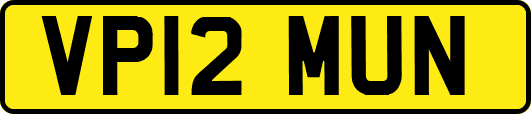 VP12MUN