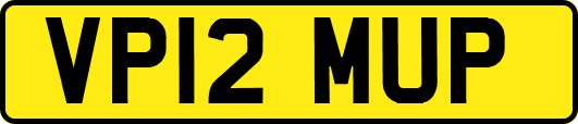 VP12MUP