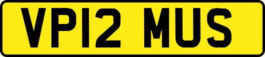 VP12MUS
