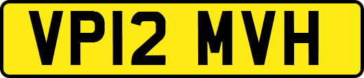 VP12MVH
