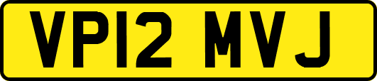 VP12MVJ