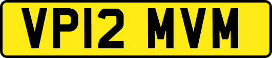 VP12MVM