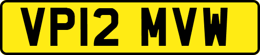VP12MVW