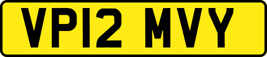 VP12MVY