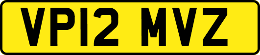 VP12MVZ