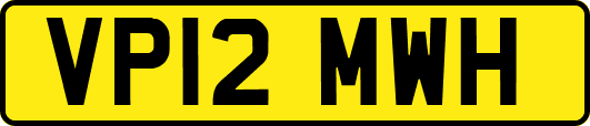VP12MWH