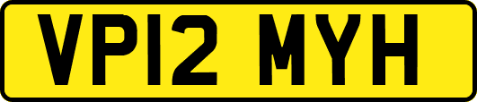 VP12MYH