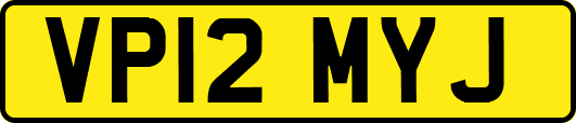 VP12MYJ