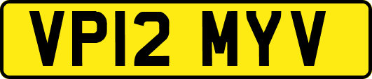VP12MYV