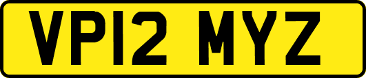 VP12MYZ