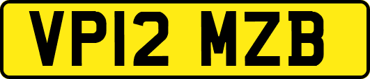 VP12MZB