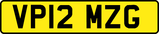 VP12MZG