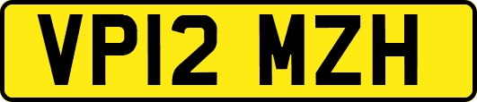 VP12MZH