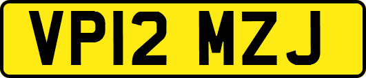 VP12MZJ
