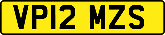 VP12MZS