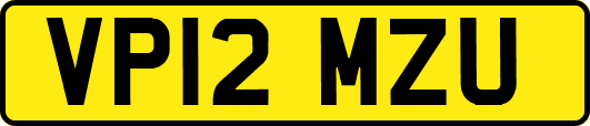 VP12MZU