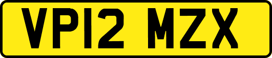 VP12MZX