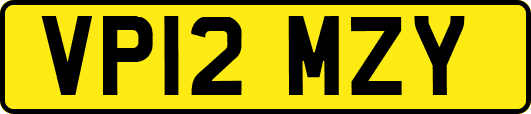 VP12MZY