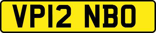 VP12NBO