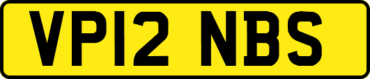 VP12NBS