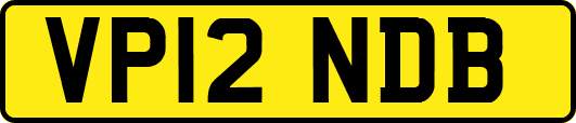 VP12NDB