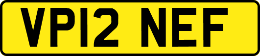 VP12NEF