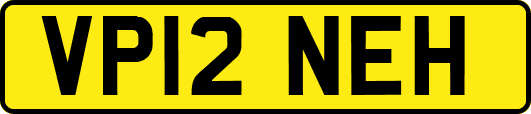 VP12NEH