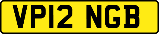 VP12NGB