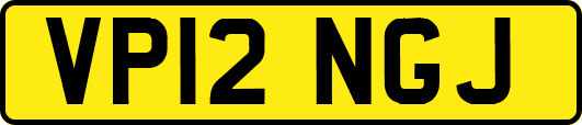 VP12NGJ