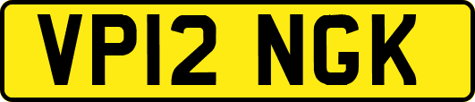 VP12NGK