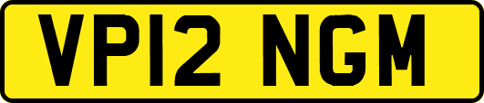 VP12NGM