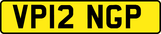 VP12NGP