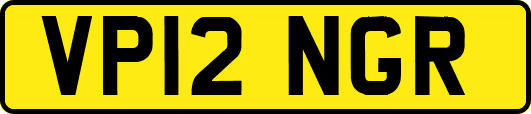 VP12NGR
