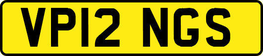 VP12NGS