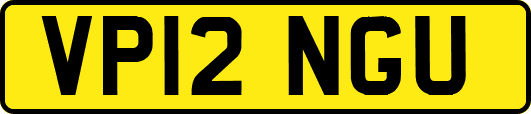 VP12NGU