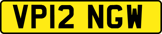 VP12NGW