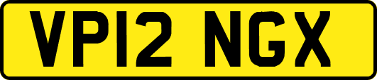 VP12NGX