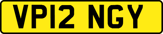 VP12NGY