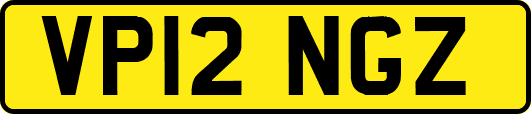 VP12NGZ