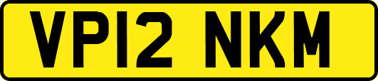 VP12NKM