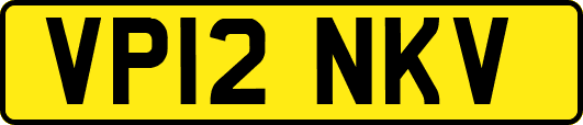 VP12NKV