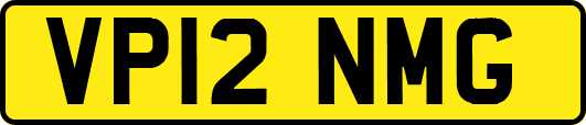 VP12NMG