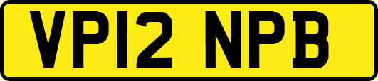 VP12NPB
