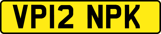 VP12NPK