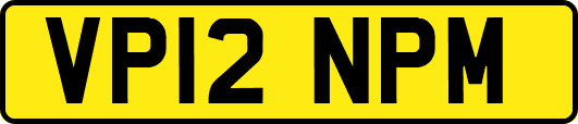 VP12NPM
