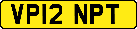 VP12NPT