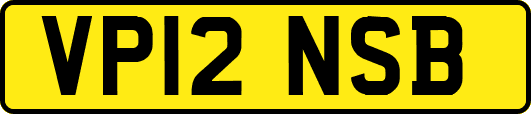 VP12NSB