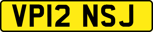 VP12NSJ