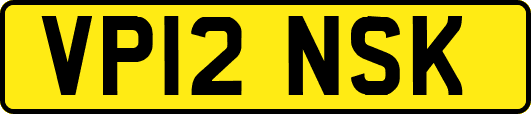 VP12NSK